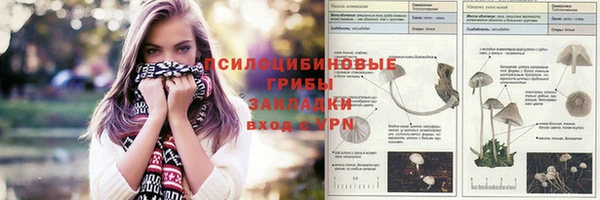 герыч Алексеевка