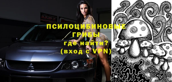 apvp Абаза