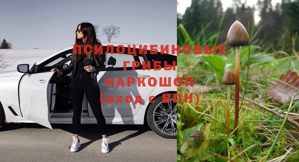 apvp Абаза
